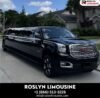 luxury limousine rental